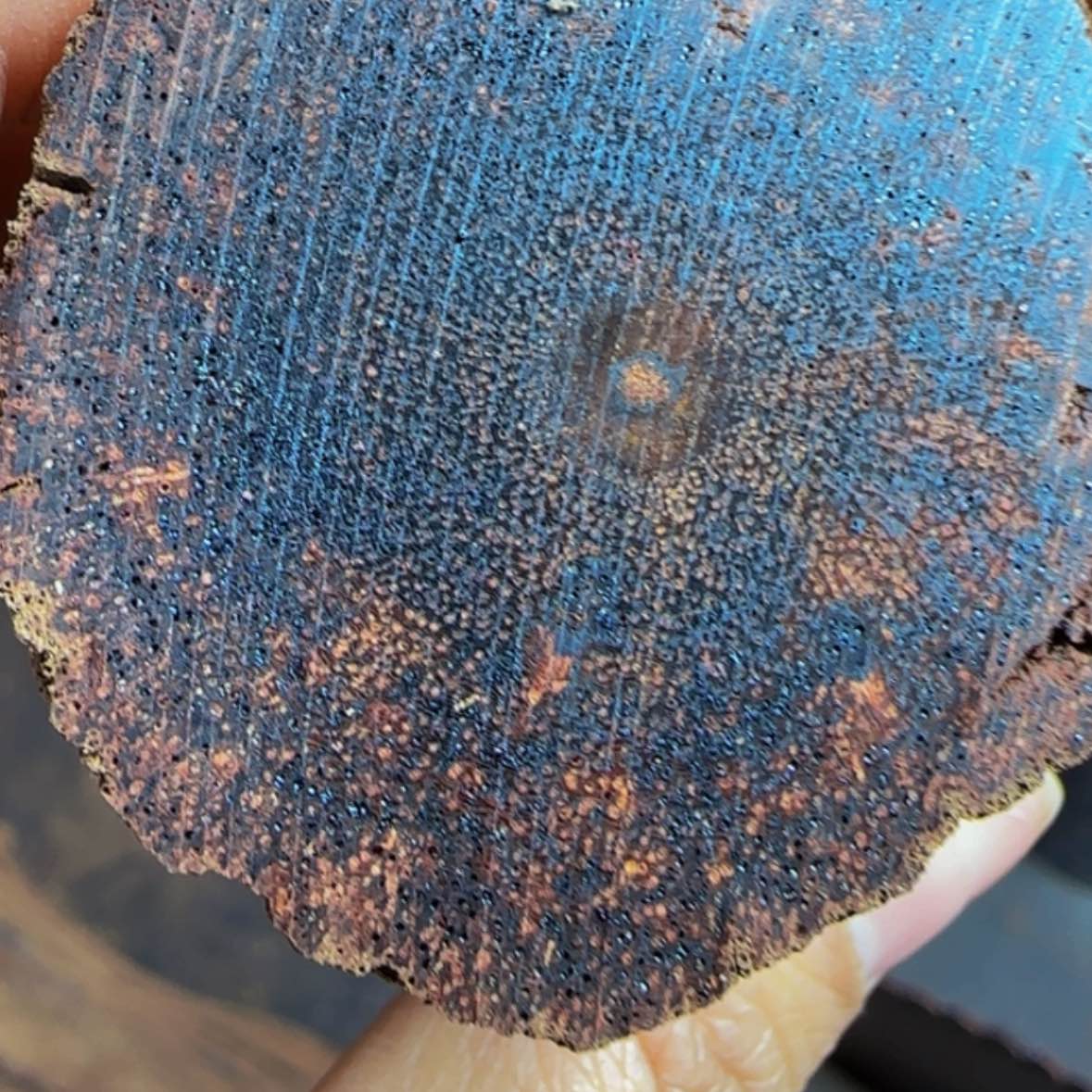 【闪购商品】降真香其他艾*降真香