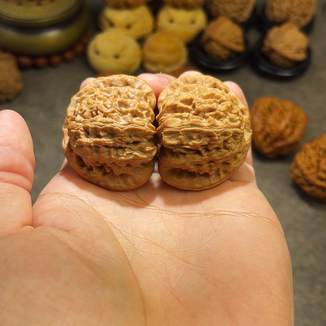 文玩核桃把件42全品白狮子