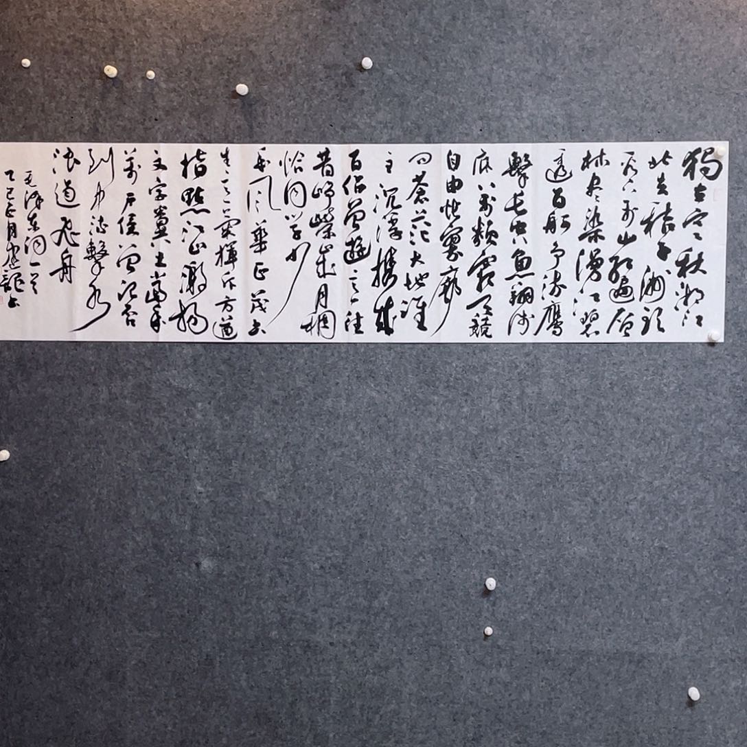 书法中书协会员杨建龙作品180×50