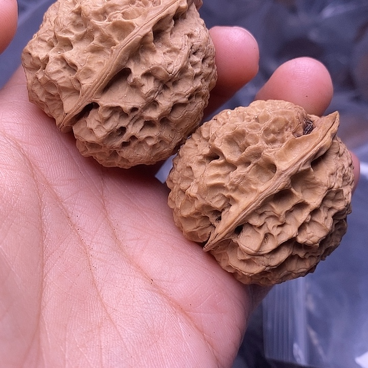 ༒***༒文玩核桃把件   228