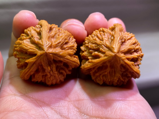 文玩核桃文山御龙筋正奔三棱异形嘎嘎正精品39边男士手把件麻核桃