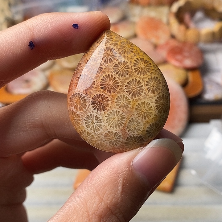 驾***陈硅化珊瑚未镶嵌颈饰