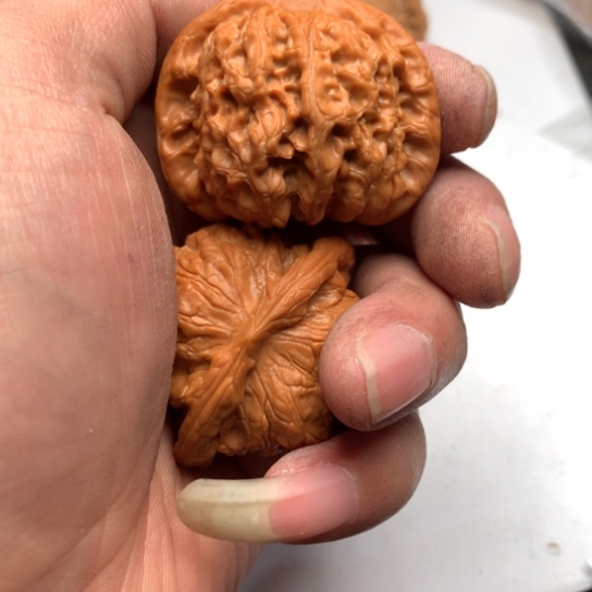 非*?你是我的小太阳啊我是