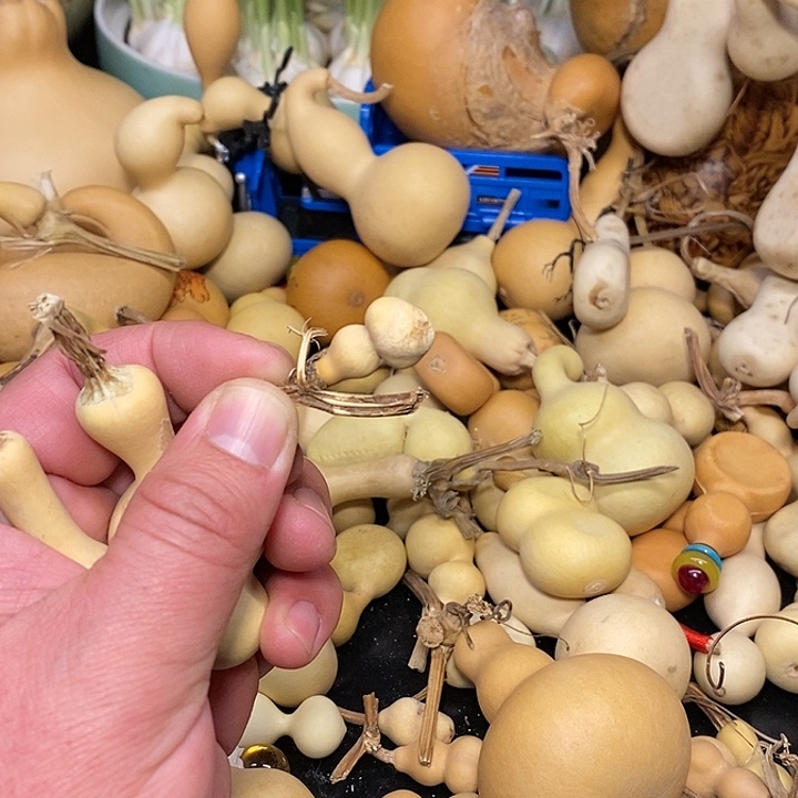 刘*博精品葫芦手把葫芦9