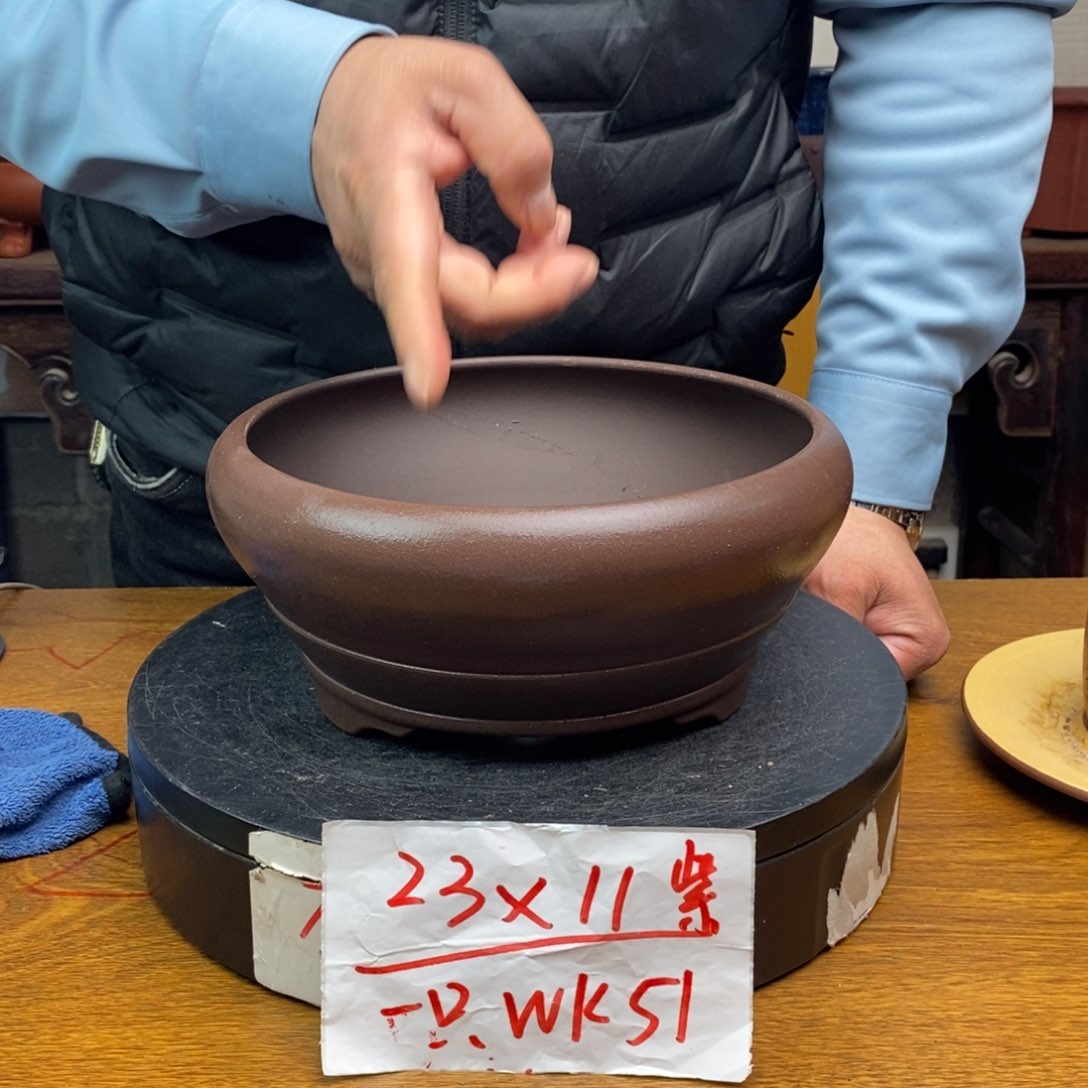 红陶货号一只WK51