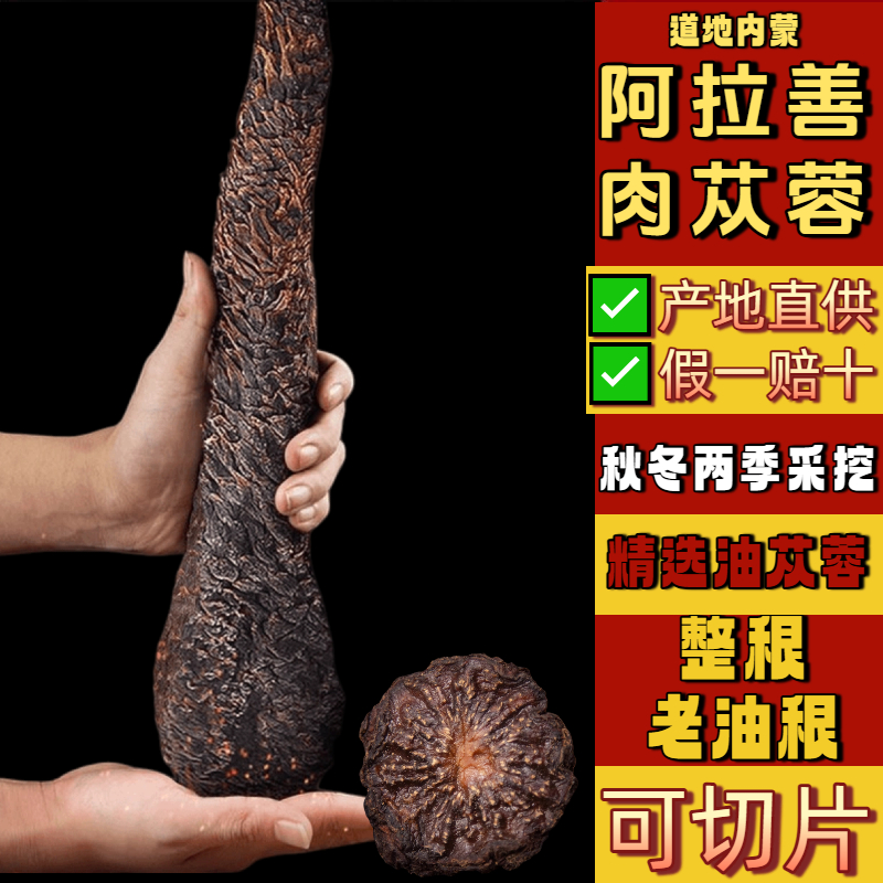 正品精选中药材肉苁蓉油性8-25年熟根沙漠人参泡水煲汤泡酒秋季节