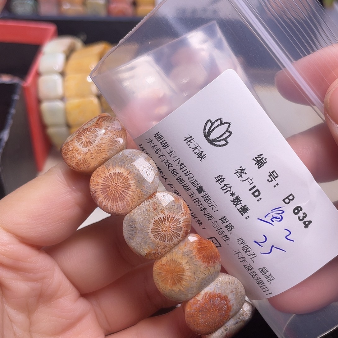 鱼***鱼硅化玉未镶嵌手镯