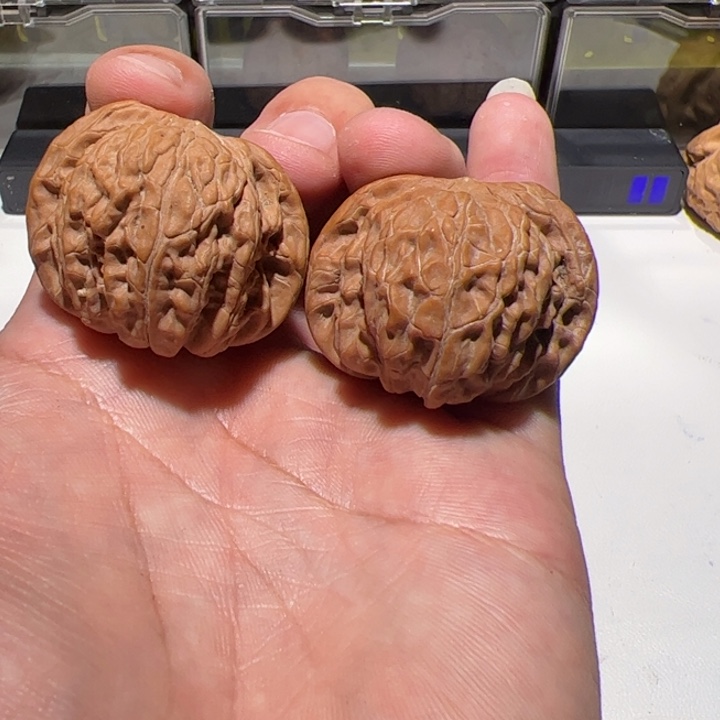 磨盘狮子头梅干菜烧饼