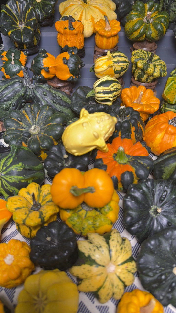 七彩疙瘩葫芦手把件天然原皮原色可盘玩可观赏