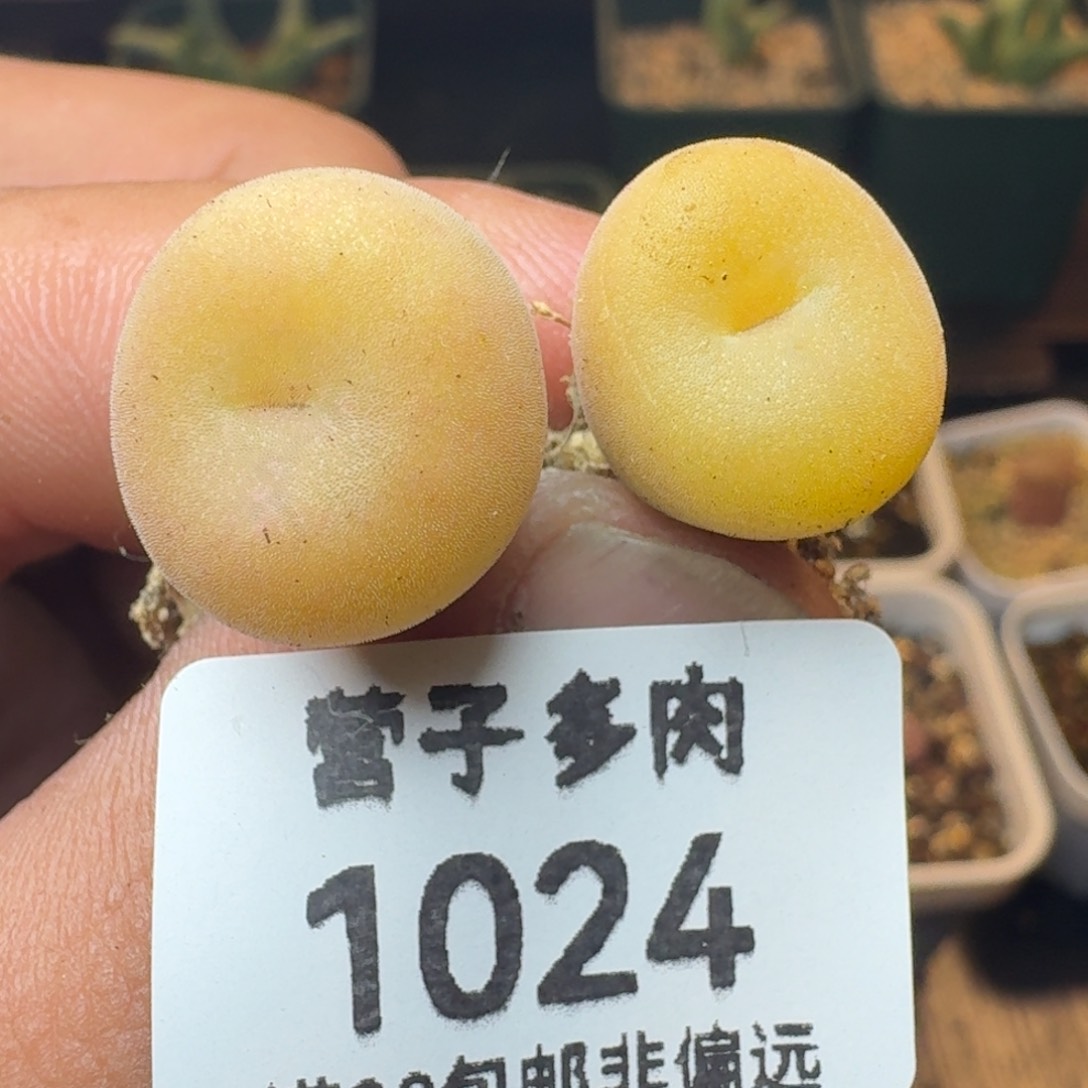 空卡福利。           