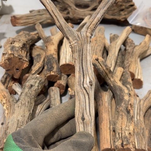 大果紫檀（缅甸花梨）ᝰ****ꪊ