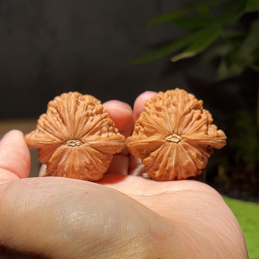 旺***远核桃41房山一代山地磨全品