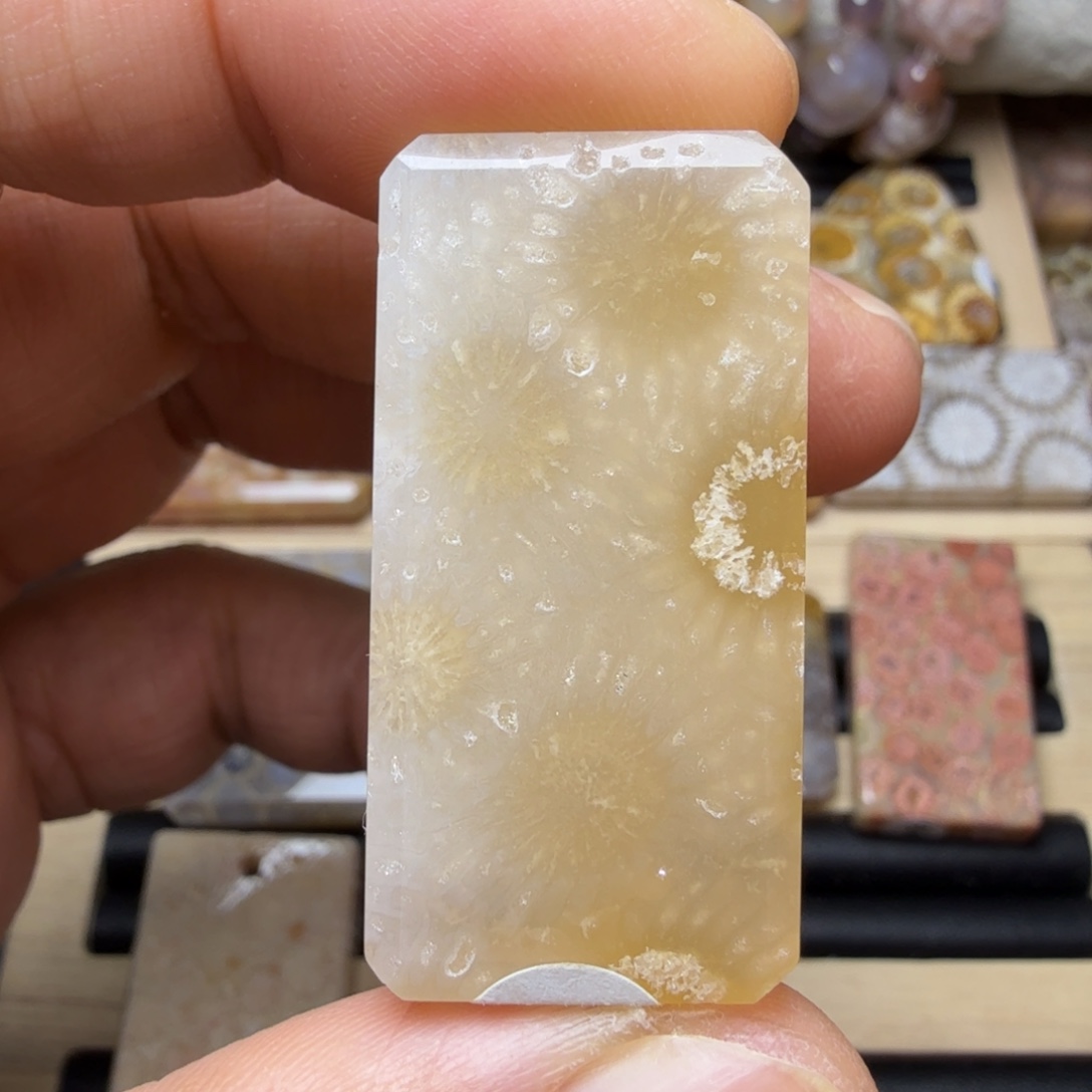 硅化玉未镶嵌天然色有机玉石保真色