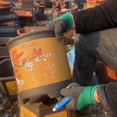 红陶紫砂花盆盆景盆栽