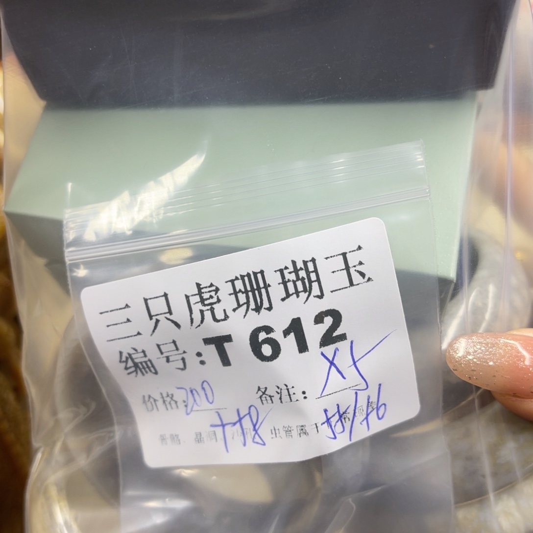 中***子硅化珊瑚（珊瑚玉）未镶嵌h