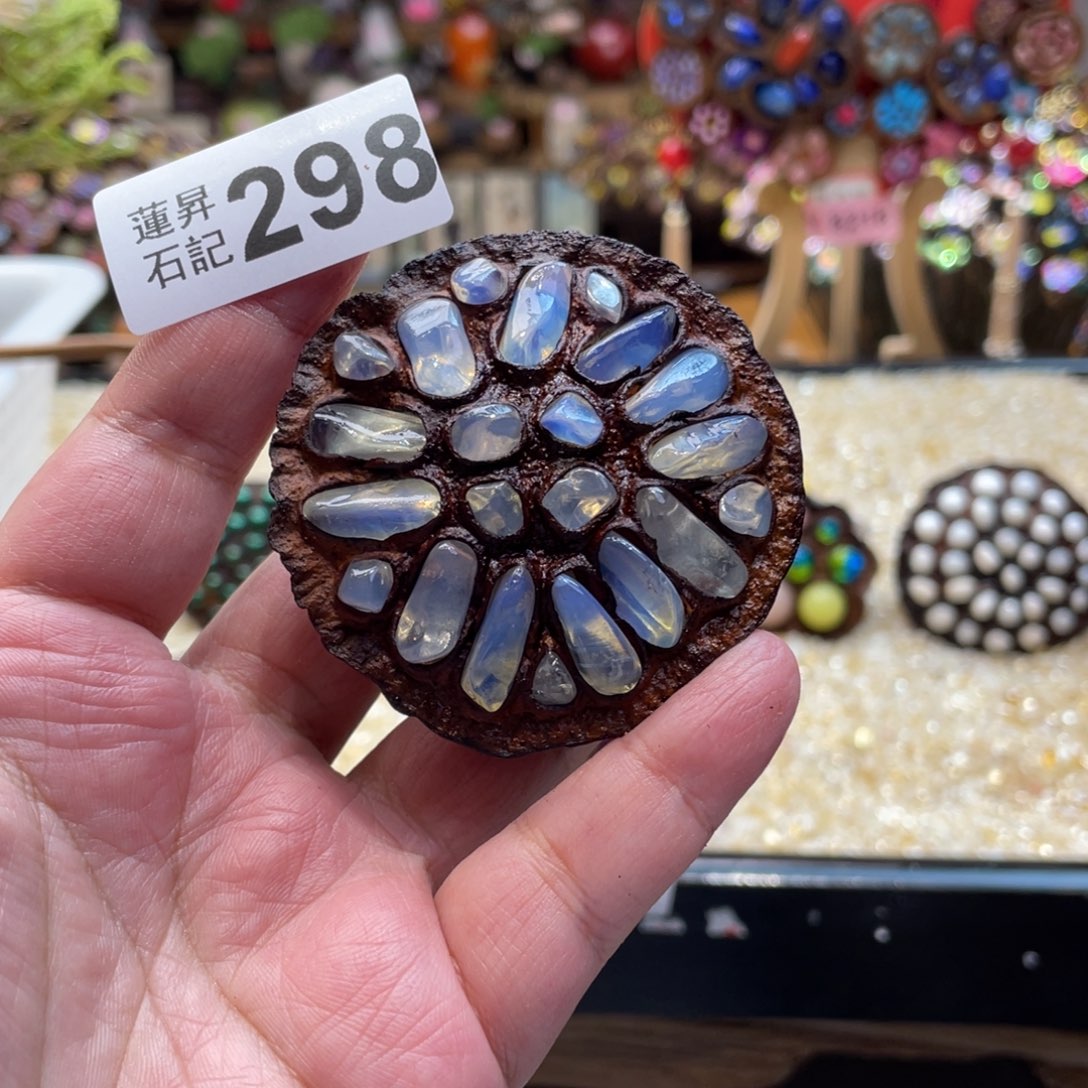 核桃木/黑胡桃（胡桃木）298