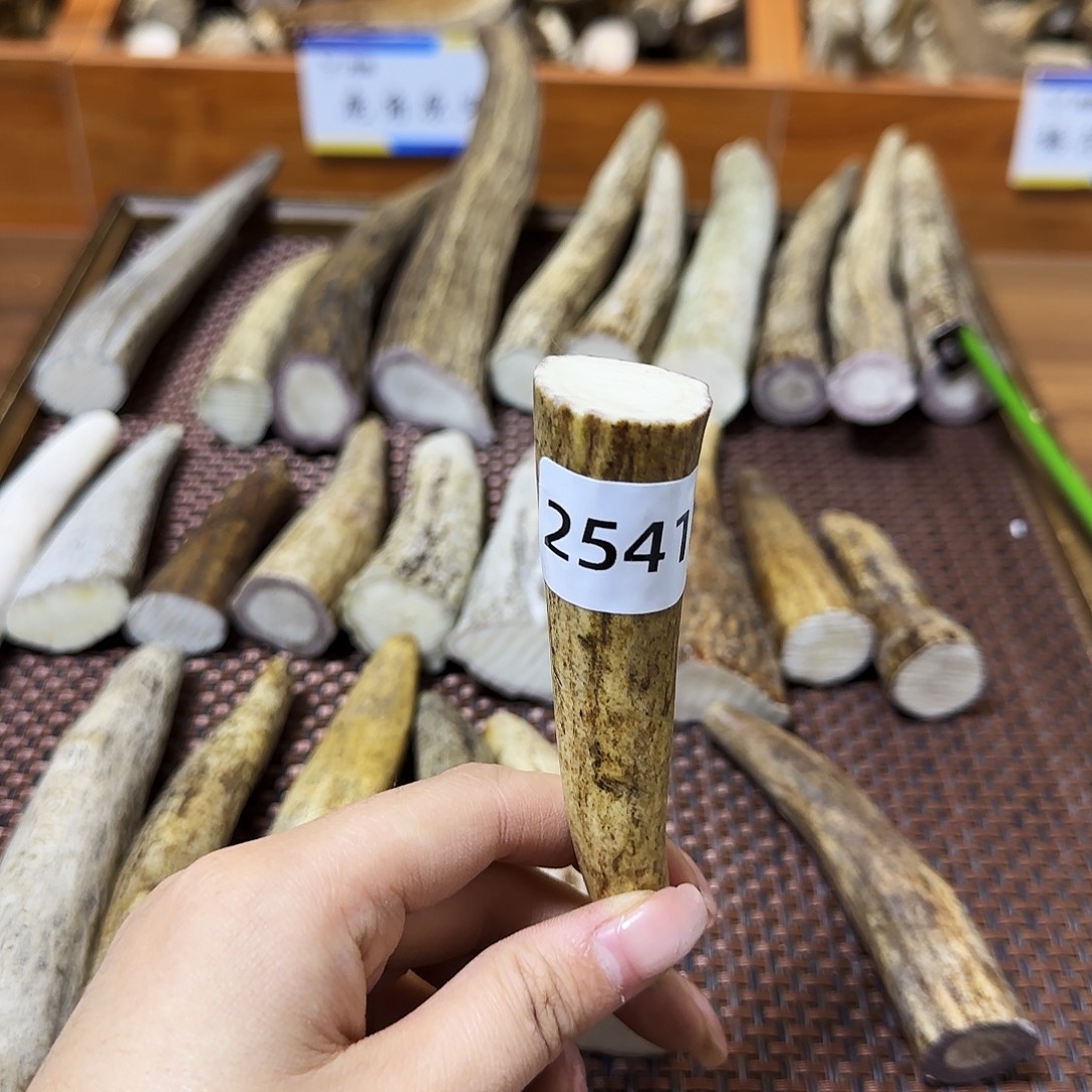 手串/手链鹿骨角尖2541