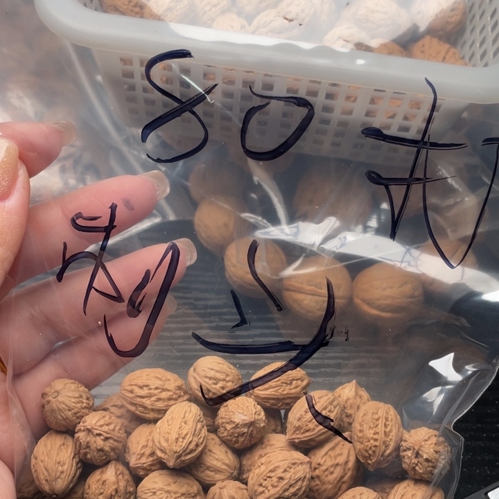 【闪购商品】核桃手串/手链私人订制不退不换80