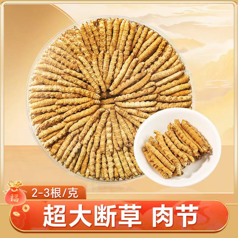 冬虫夏草大断草肉条精品礼盒装冬虫夏草送礼装自用非虫草泡酒煲汤