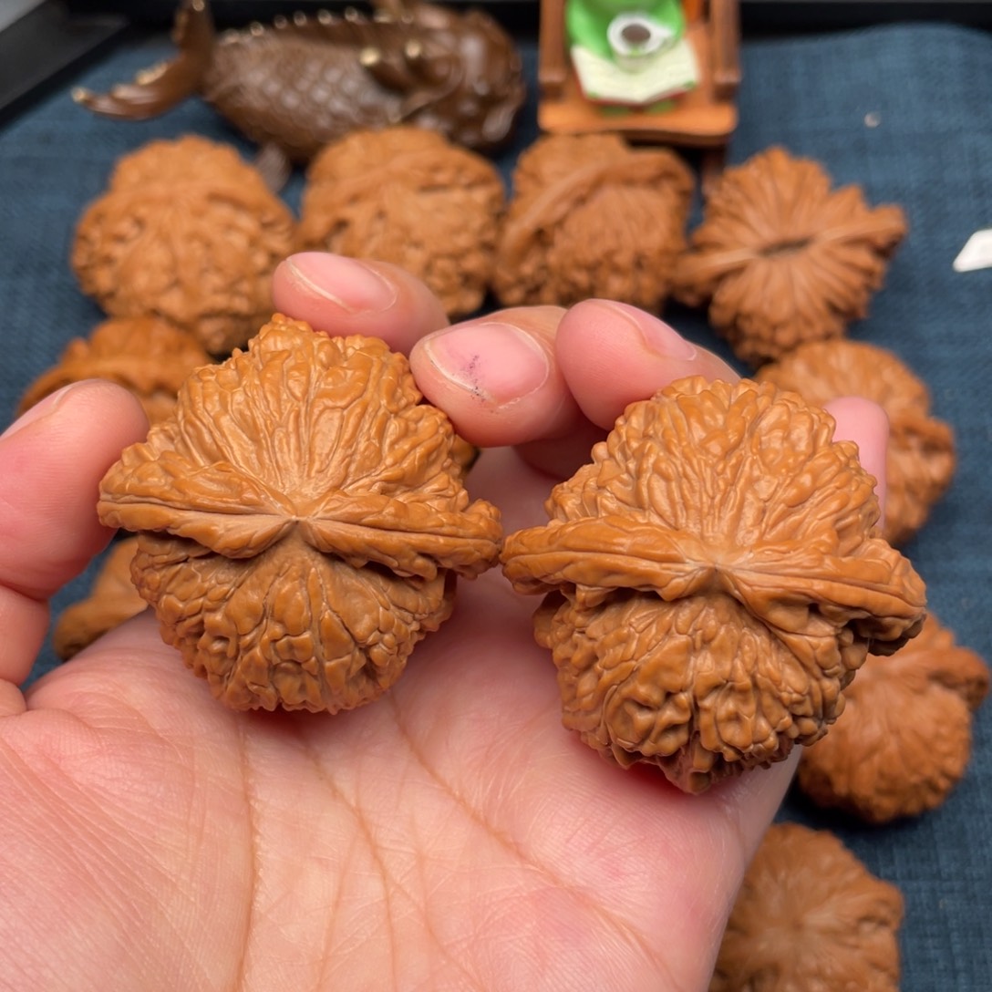 文玩核桃把件44毕业爆肉球白全品