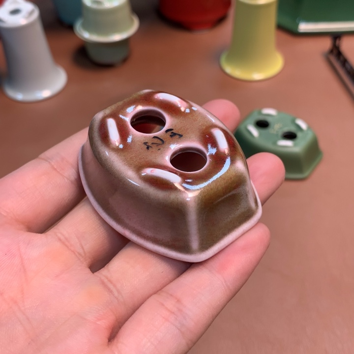 的微博视频我想我