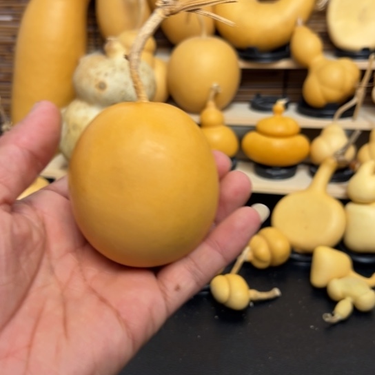 D***O15669999986996666