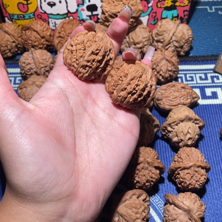 35平谷楼206 11111