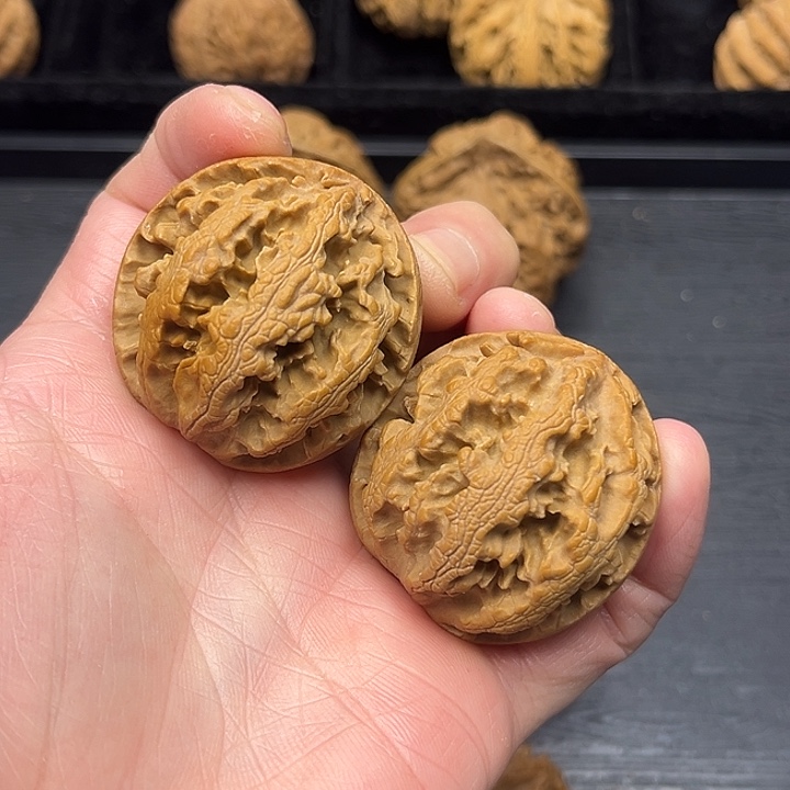 香樟木突突突突突突突突