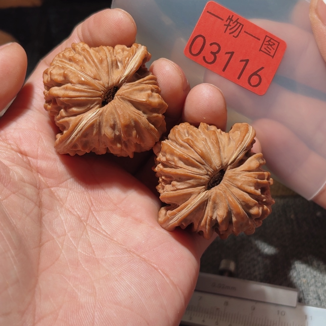 文玩核桃把件楼楼楼