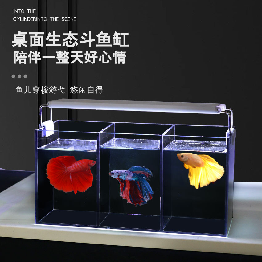 新奇宠物桌面创意多格超白玻璃缸黑玻防打架显色免换水斗鱼连体缸
