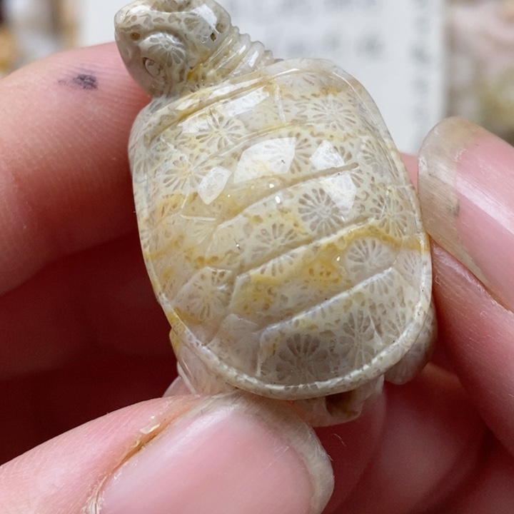 颈饰未镶嵌硅化珊瑚（珊瑚玉）有瑕 小