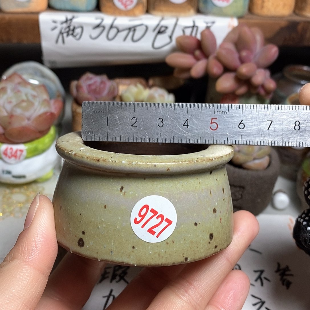 红陶拍5送一个小