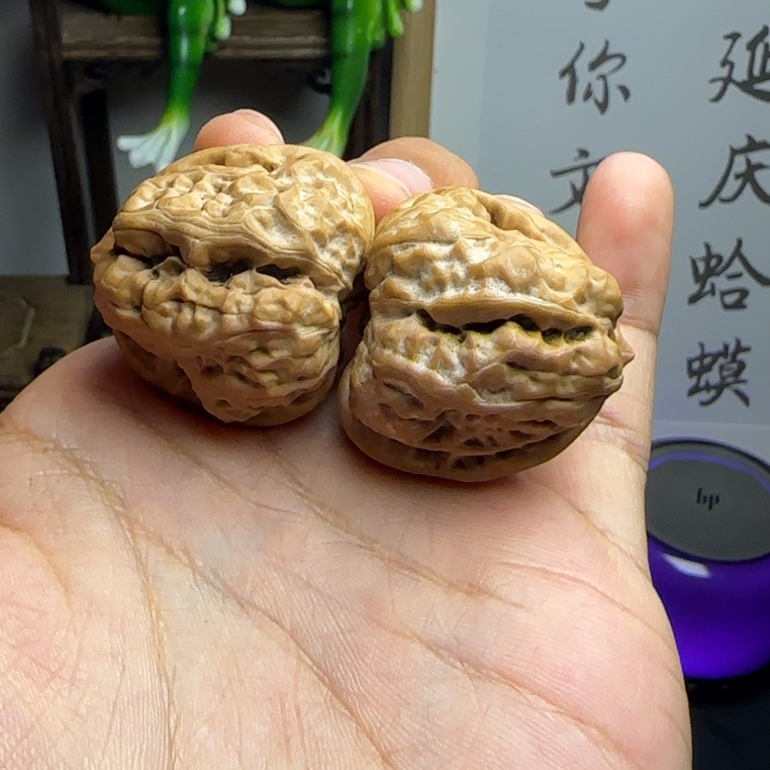 大***袄35✖️36尺红皮蛤蟆全品