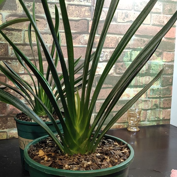 完全开放111111111