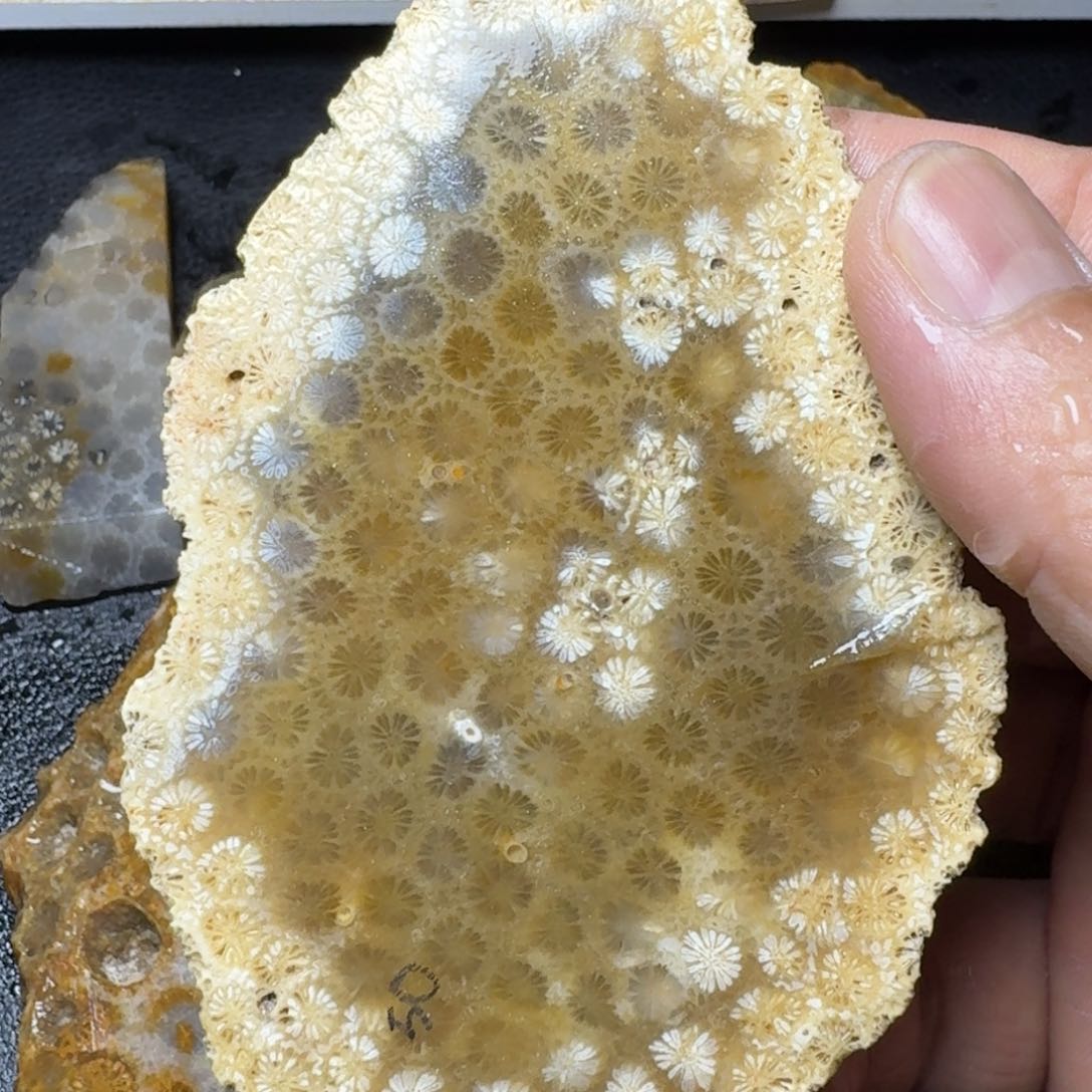 硅化玉纯天然色有机玉石保真色原石片料未镶嵌