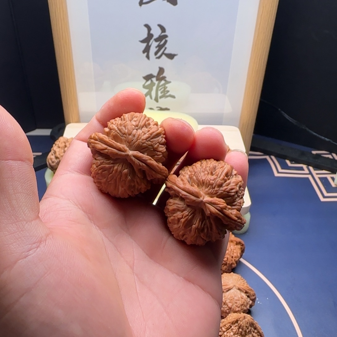 不****40全品拱桥卡姿兰白狮子