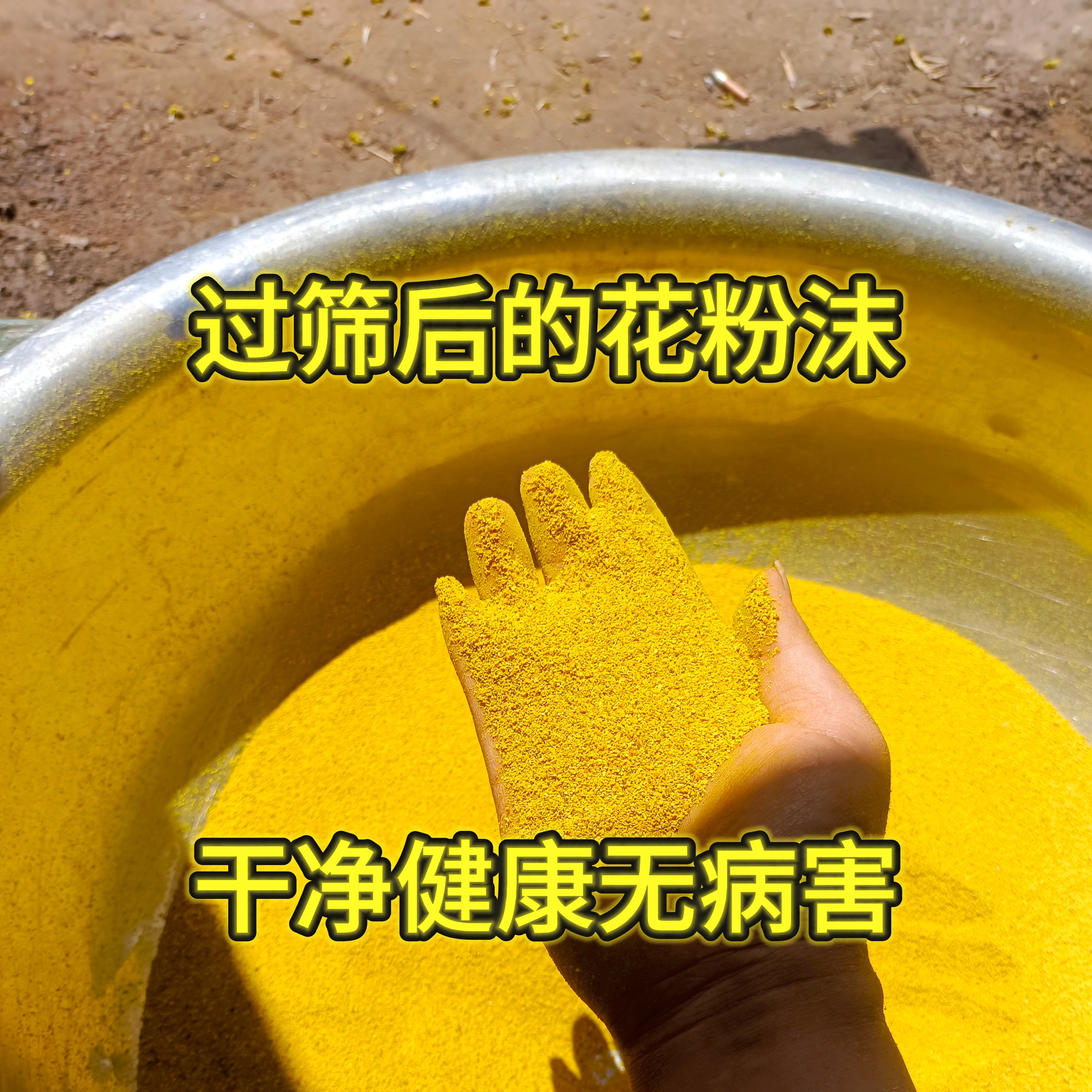 花粉沫繁蜂口粮花粉末