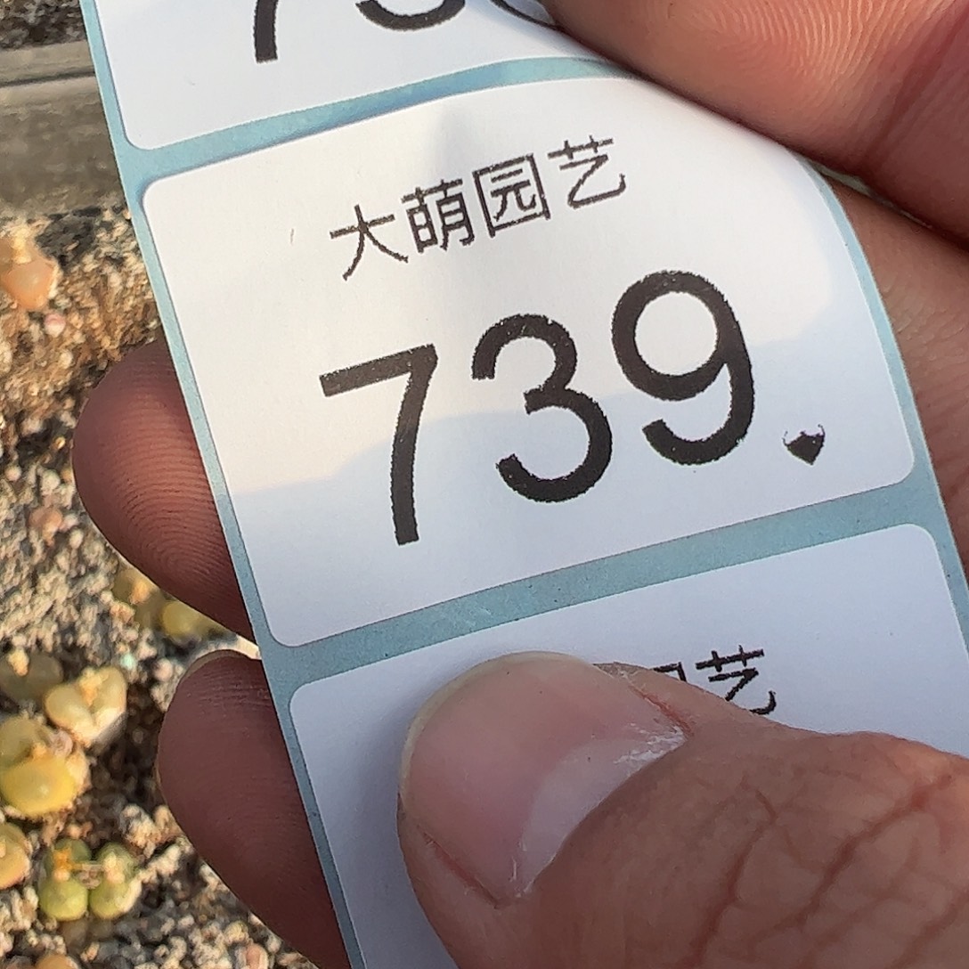 薯***咸一物一拍。         739