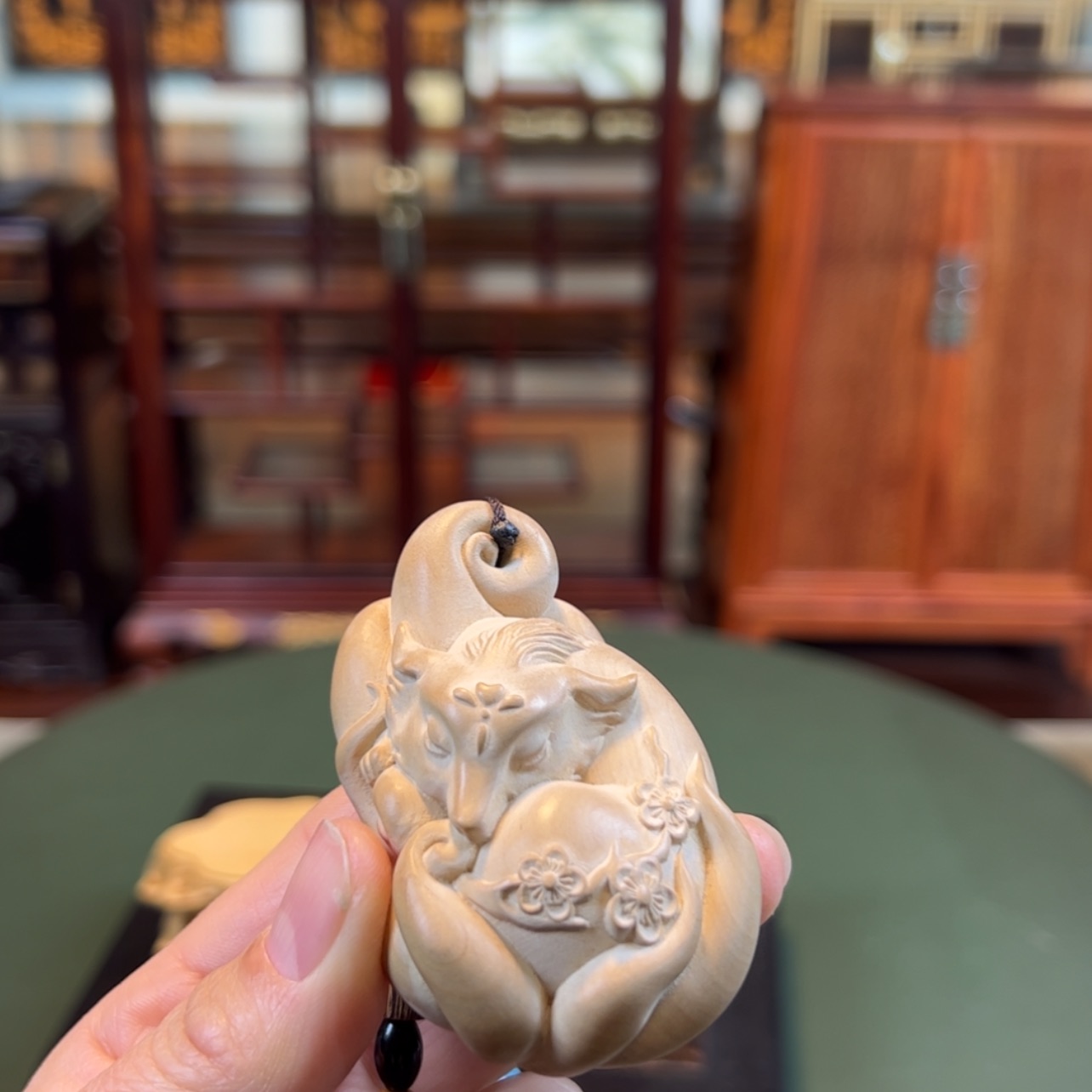 【闪购商品】黄杨木其他黄杨木