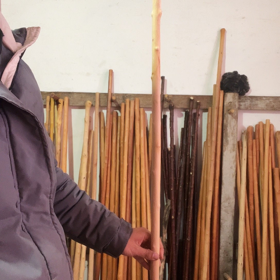 微***续秦岭山脉红牛筋。 