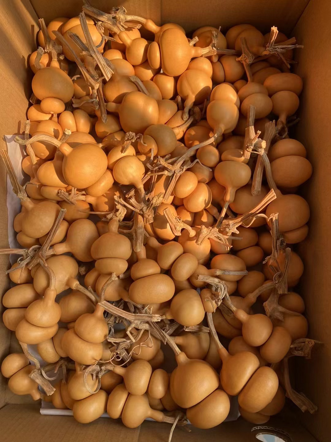 钱袋子葫芦手把文玩葫芦布袋包浆老葫芦