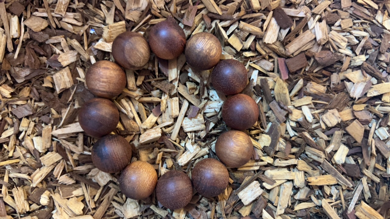 沉香z214福来精选高端文玩