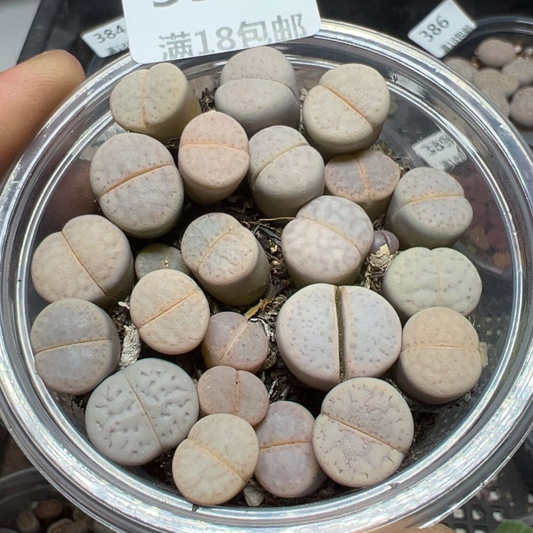 【闪购商品】 391。       