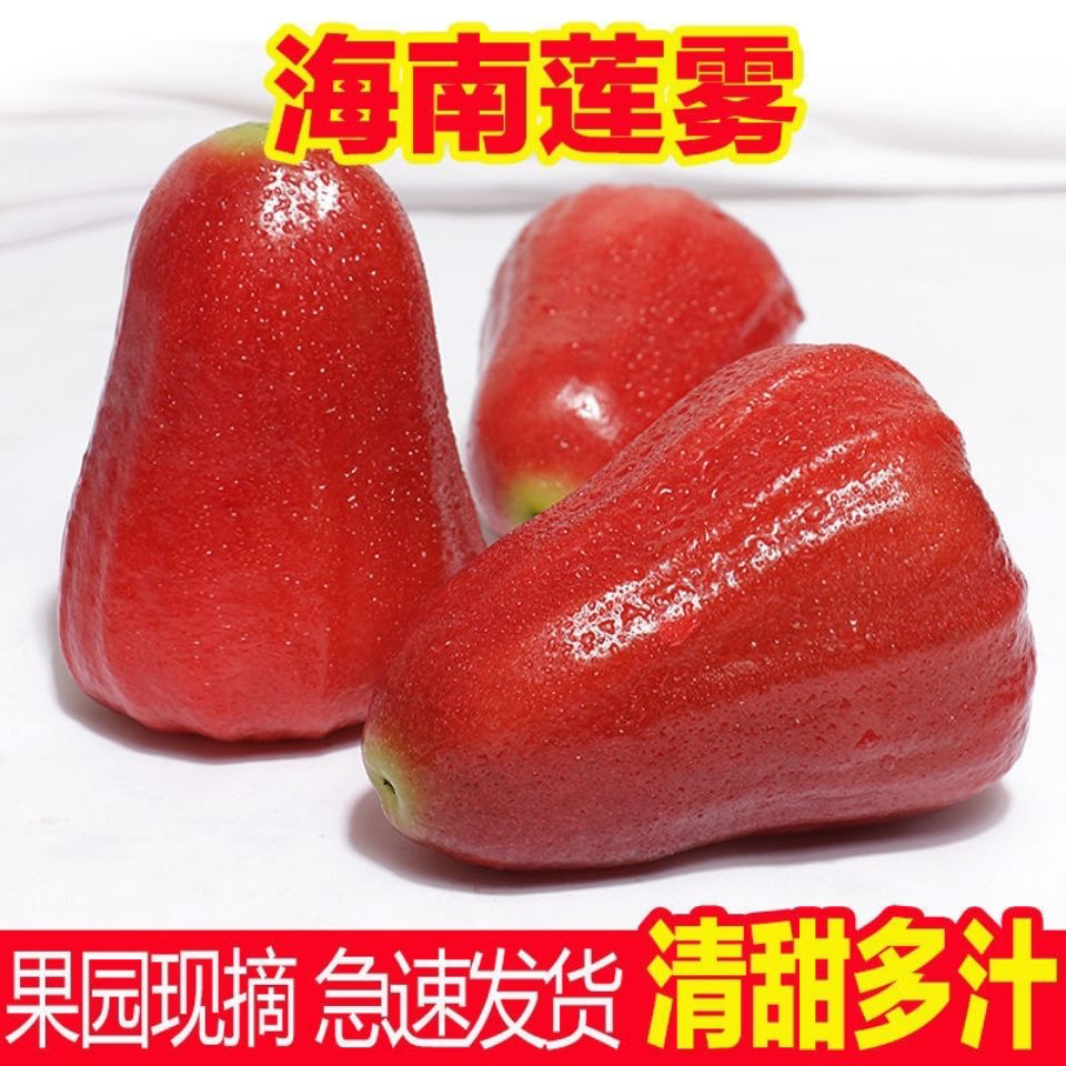 [自家果园]海南红宝石莲雾5斤包邮新鲜清脆清甜脆爽清爽包赔