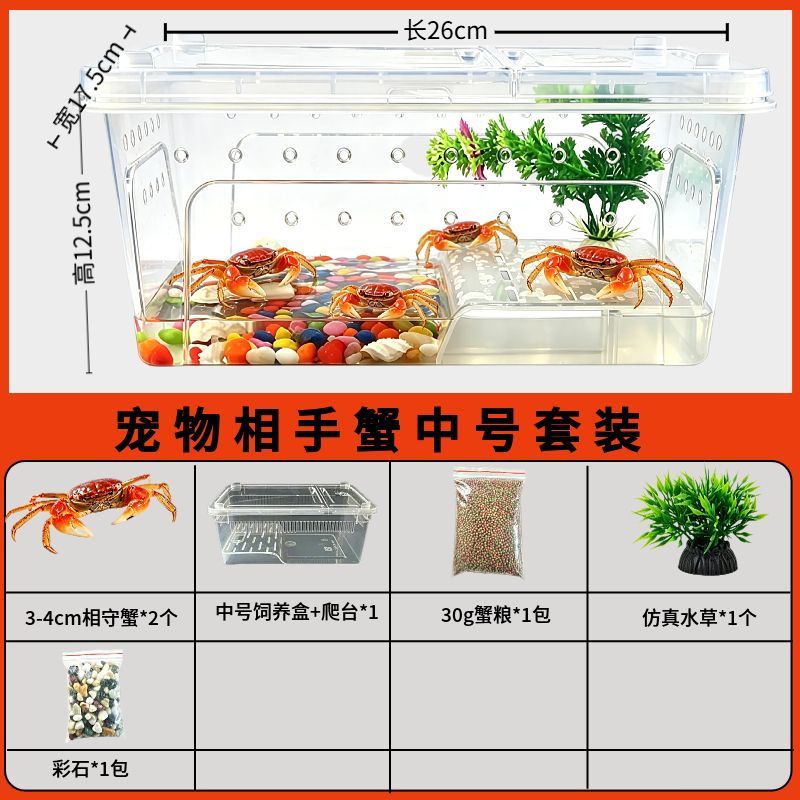 螃蟹宠物饲养套装观赏蟹饲养箱淡水活物相守蟹将军蟹迷你辣椒蟹蟹