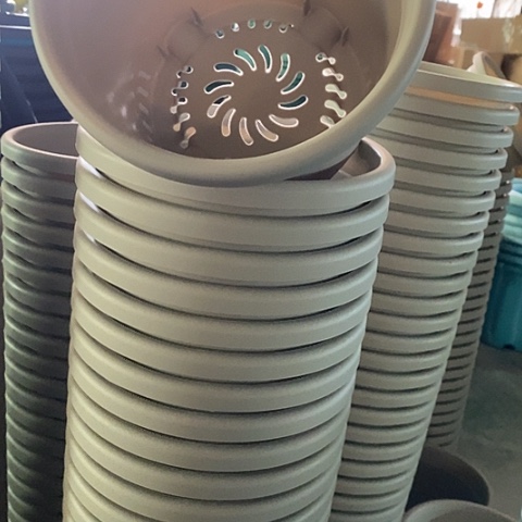 树脂四季2号灰白无托20个