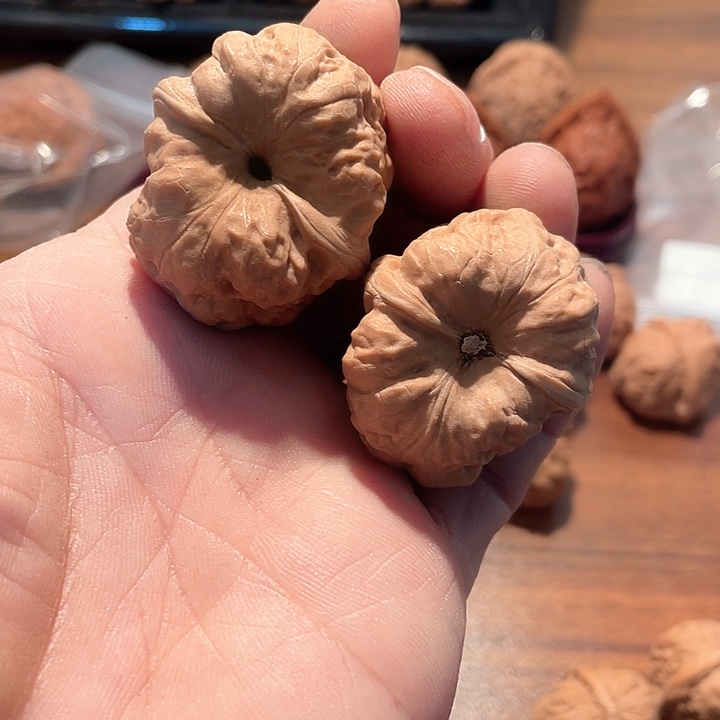 大叶紫檀（黑酸枝木类）H*H