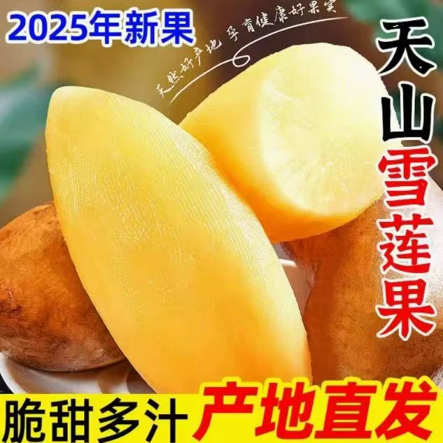 【低糖】云南天山雪莲果清甜多汁黄心新鲜应季孕妇水果现挖产地包邮