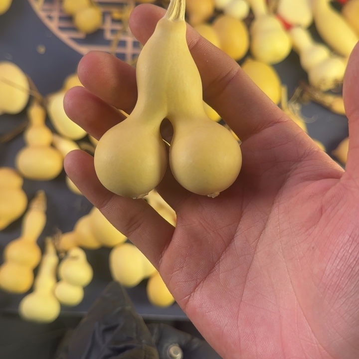 温***生大叶紫檀（黑酸枝木类）