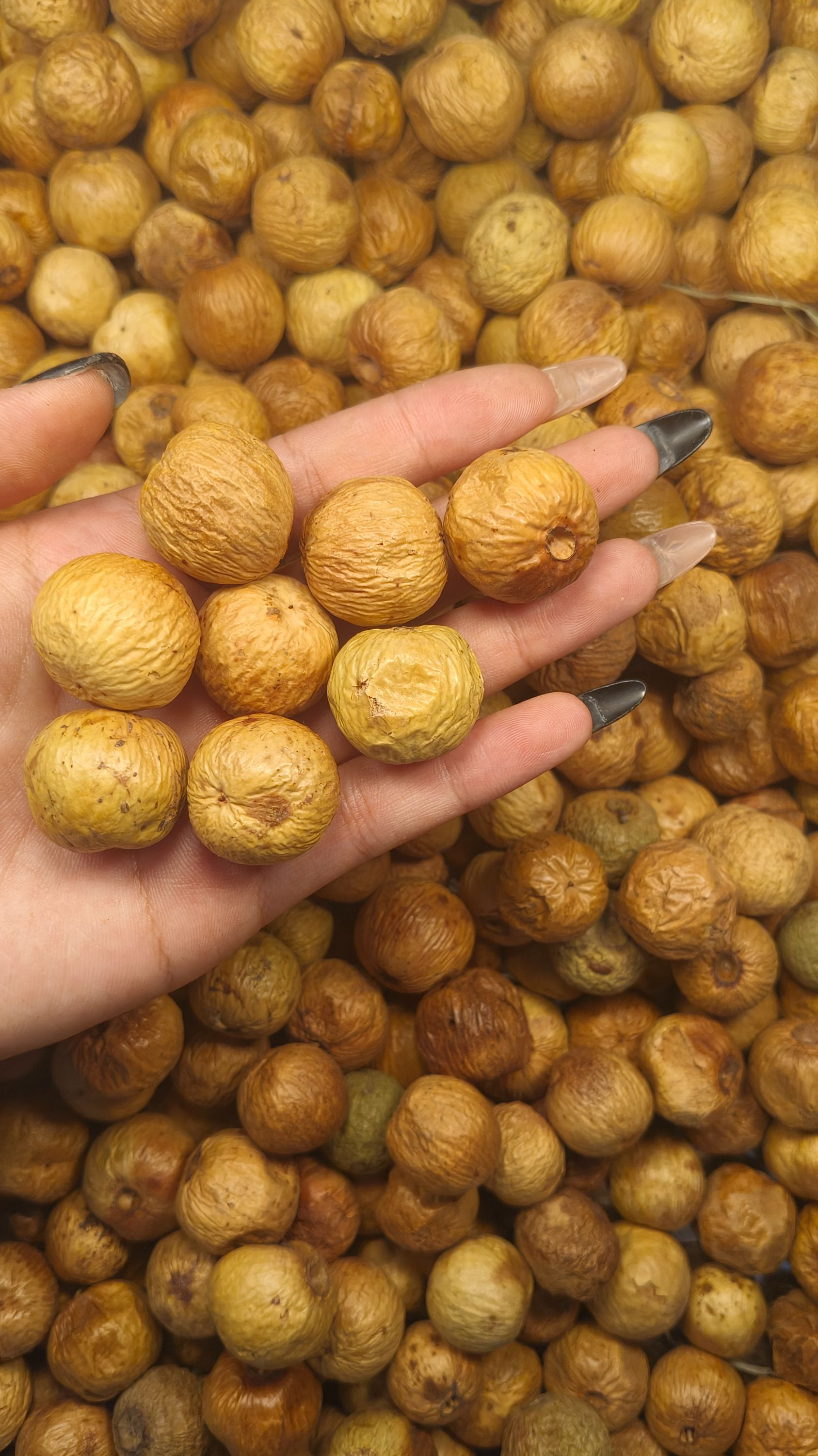 原料凤眼菩提开龙眼麒麟眼大果23-26mm 200克